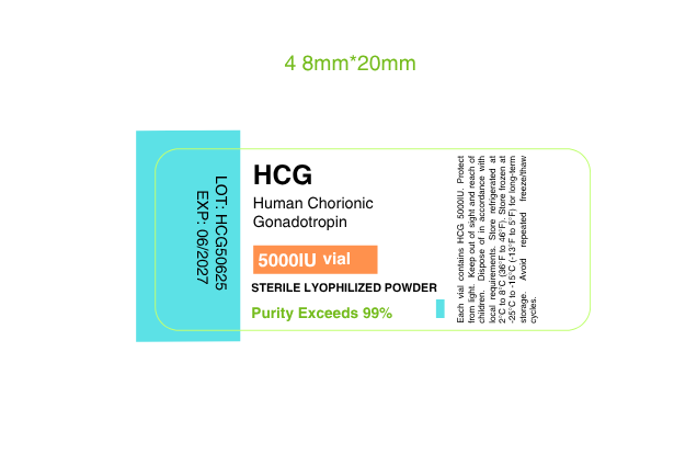 HCG 5000IU human chorionic gonadotropin vial